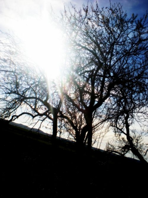 Fotografia de vero - Galeria Fotografica: Totikooos - Foto: 