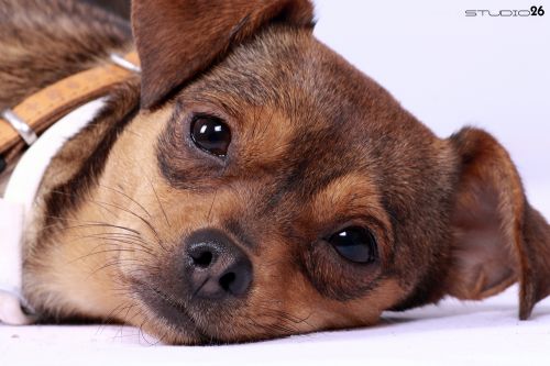 Fotografia de Studio 26 - Galeria Fotografica: Fotografas - Foto: 