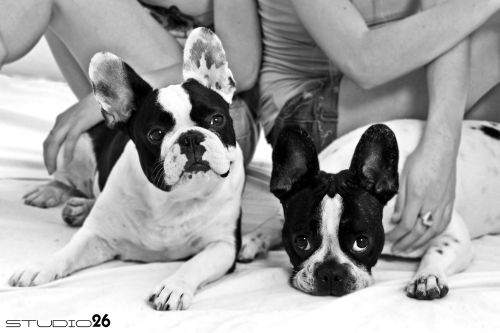 Fotografia de Studio 26 - Galeria Fotografica: Fotografas - Foto: 