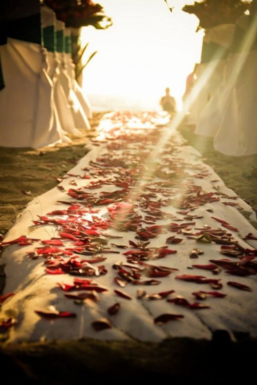 Fotografia de SummerFrame Weddings - Galeria Fotografica: Fotografas de boda - Foto: 