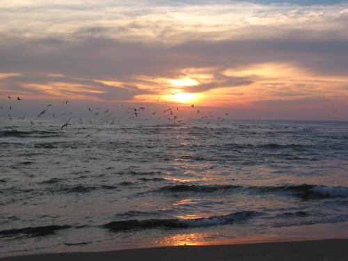 Fotografia de Sin Nombre - Galeria Fotografica: mi lindo mexico - Foto: atardecer