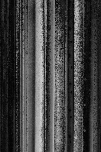 Fotografia de lasalanaranja - Galeria Fotografica: plot@rt.europa - Foto: Arpad