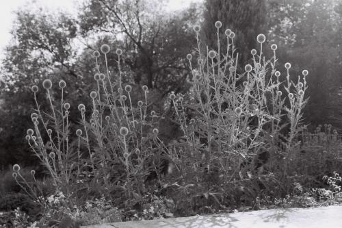 Fotografia de Ingrid Sof - Galeria Fotografica: El pnico del paso del tiempo - Foto: hamburgo