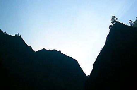 Fotografia de Laura DGN - Galeria Fotografica: Paisajes de mi tierra - Foto: Pino de Badajoz