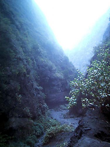 Fotografia de Laura DGN - Galeria Fotografica: Paisajes de mi tierra - Foto: Sendero misterioso