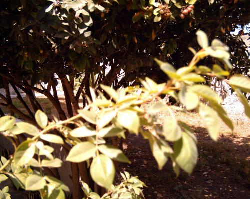 Fotografia de Laura DGN - Galeria Fotografica: Paisajes de mi tierra - Foto: Natural