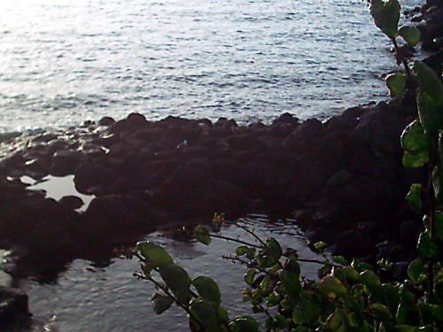 Fotografia de Laura DGN - Galeria Fotografica: Paisajes de mi tierra - Foto: Mar y tierra