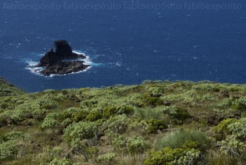 Fotografia de fabio expsito - Galeria Fotografica: La Palma - Foto: 