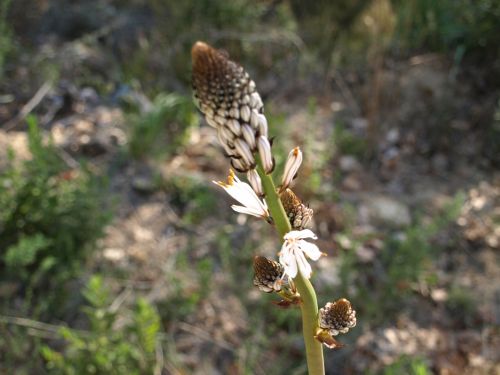 Fotografia de DECODECNA - Galeria Fotografica: SALAMANCA - Foto: MOGARRAZ