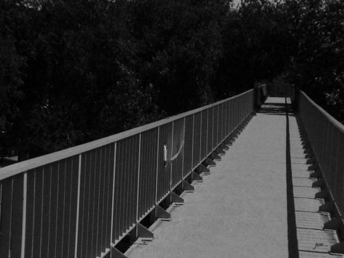 Fotografia de jose - Galeria Fotografica: LA GRAN CIUDAD - Foto: 