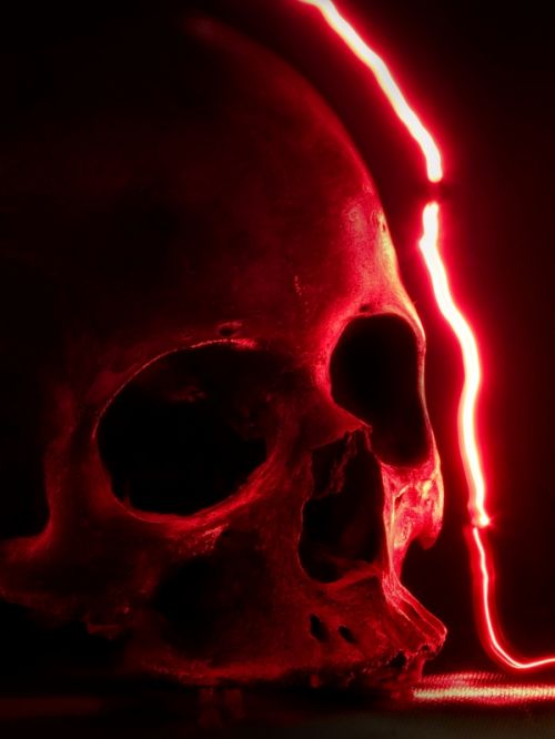 Fotografia de Jorge Cobos - Galeria Fotografica: Fisiogramas - Foto: 