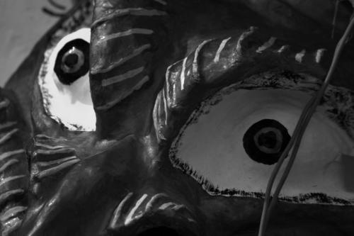 Fotografia de Gustavo - Galeria Fotografica: Ensayo sobre Diablos del Yare - Foto: 