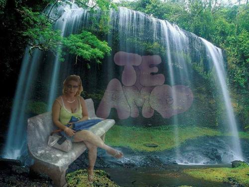 Fotografia de bonita de amores - Galeria Fotografica: artis - Foto: 