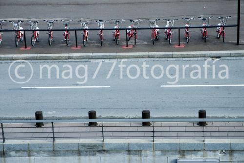 Fotografia de Mag77foto - Galeria Fotografica: Varios - Foto: www.mag77fotografia.com