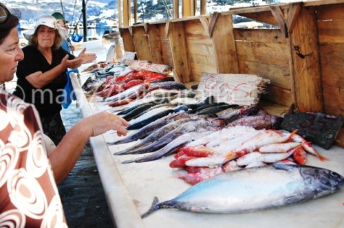 Fotografia de Mag77foto - Galeria Fotografica: Varios - Foto: www.mag77fotografia.com