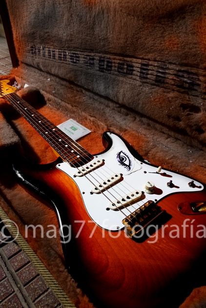 Fotografia de Mag77foto - Galeria Fotografica: Varios - Foto: www.mag77fotografia.com