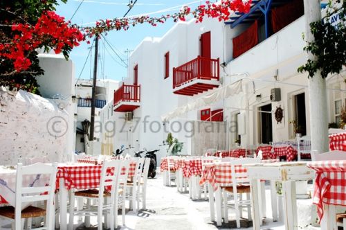 Fotografia de Mag77foto - Galeria Fotografica: Varios - Foto: www.mag77fotografia.com