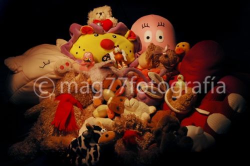 Fotografia de Mag77foto - Galeria Fotografica: Varios - Foto: www.mag77fotografia.com