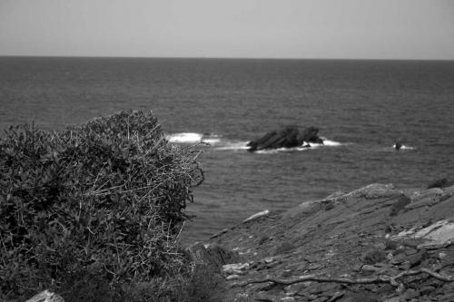 Fotografia de Pepo - Galeria Fotografica: Menorca en verano - Foto: Soando con el mar