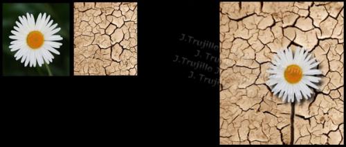 Fotografia de J.Trujillo - Galeria Fotografica: Restauracin fotografa y retoque digital - Foto: Fotocomposicin