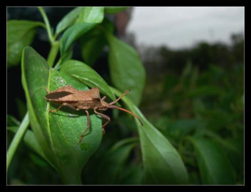 Fotografia de Raul - Galeria Fotografica: Naturaleza Interior - Foto: la busca