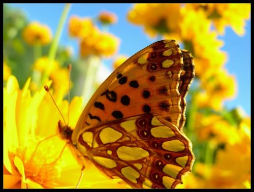 Fotografia de Raul - Galeria Fotografica: Naturaleza Interior - Foto: la armonia