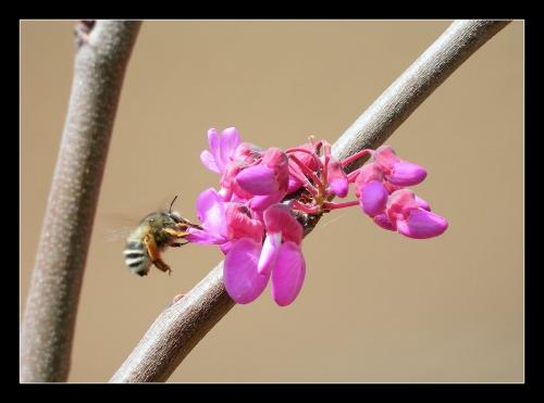 Fotografia de Raul - Galeria Fotografica: Naturaleza Interior - Foto: neti neti
