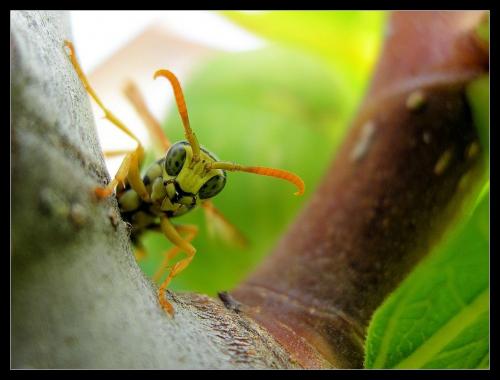 Fotografia de Raul - Galeria Fotografica: Naturaleza Interior - Foto: la sabiduria