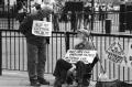 Fotos de retama -  Foto: LONDRES - PROTESTA