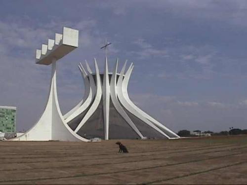 Fotografia de Gabriel - Galeria Fotografica: Atardecer - Foto: un perro trizte