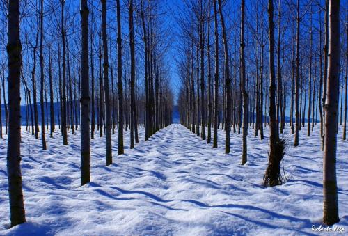 Fotografia de Roberto Vega - Galeria Fotografica: El Bierzo  2. - Foto: 