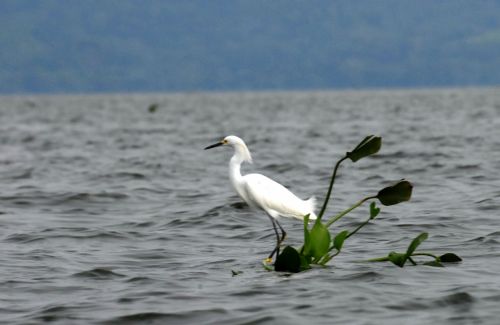 Fotografia de ANGEL MONTERO - Galeria Fotografica: TESORO - Foto: 