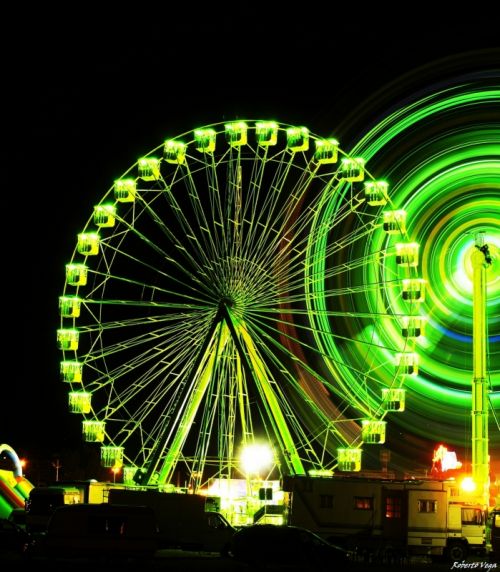 Fotografia de Roberto Vega - Galeria Fotografica: El Bierzo  2. - Foto: Encina 09.