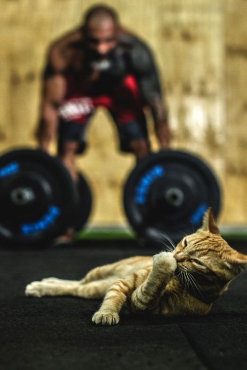 Fotografia de Fernando Dolinsky Photography - Galeria Fotografica: Sin titulo - Foto: Retrato