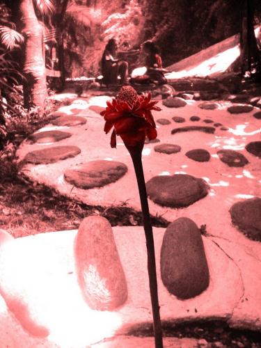 Fotografia de revelado y rebelado - Galeria Fotografica: Perfecto Equilibrio - Foto: 