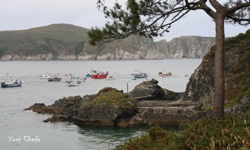 Fotografia de xose cheda - Galeria Fotografica: Cedeira - Foto: Procesin por la Ra de Cedeira