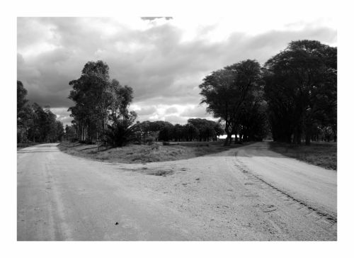 Fotografia de AGUSTIN THOMPSON - Galeria Fotografica: RE TRATO DE VIVIR - Foto: 