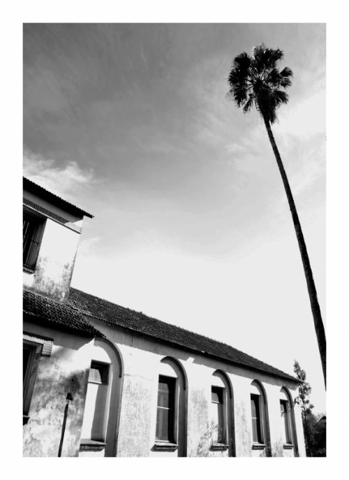 Fotografia de AGUSTIN THOMPSON - Galeria Fotografica: RE TRATO DE VIVIR - Foto: 