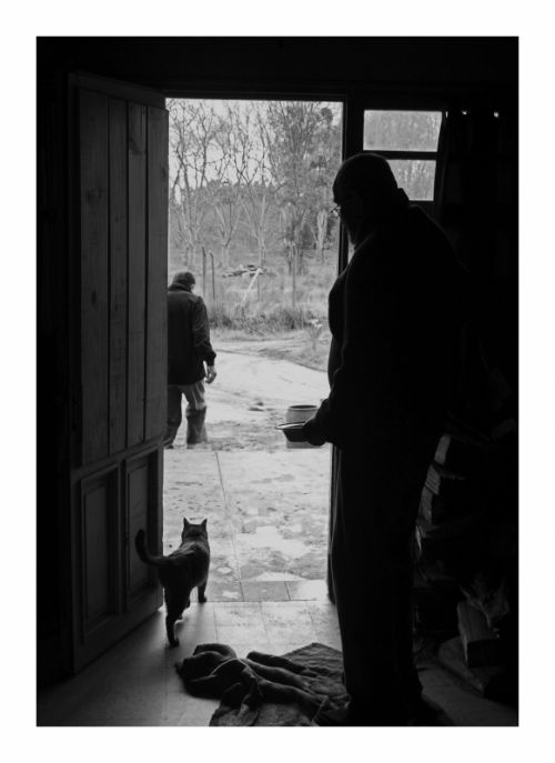 Fotografia de AGUSTIN THOMPSON - Galeria Fotografica: RE TRATO DE VIVIR - Foto: 