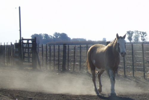 Fotografia de Ignacio Moulia - Galeria Fotografica: Iniciaci�n - Foto: 