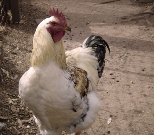 Fotografia de Ignacio Moulia - Galeria Fotografica: Iniciacin - Foto: 