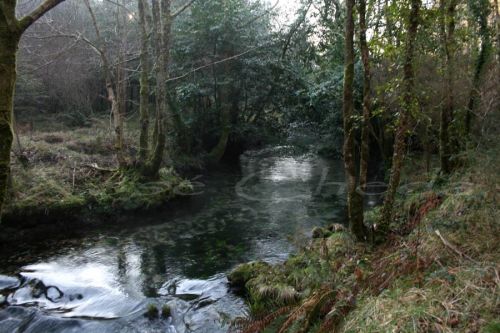 Fotografia de xose cheda - Galeria Fotografica: Cedeira - Foto: Ruta polo Ro Belelle