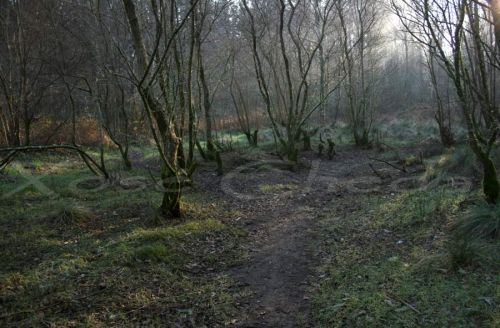 Fotografia de xose cheda - Galeria Fotografica: Cedeira - Foto: Ruta polo Ro  Belelle