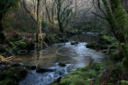 Fotografia de xose cheda - Galeria Fotografica: Cedeira - Foto: Ruta polo Rio Belelle