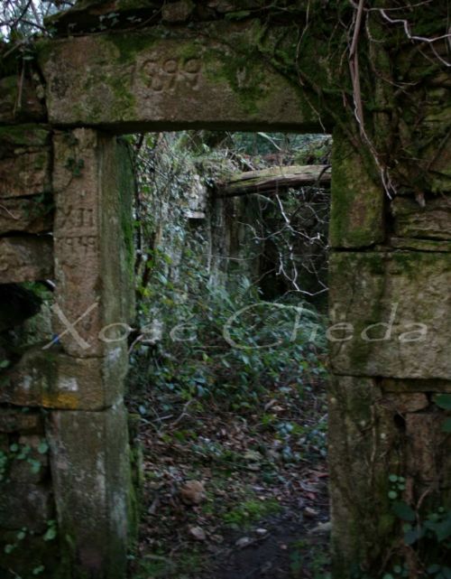 Fotografia de xose cheda - Galeria Fotografica: Cedeira - Foto: Ruta polo Rio Belelle