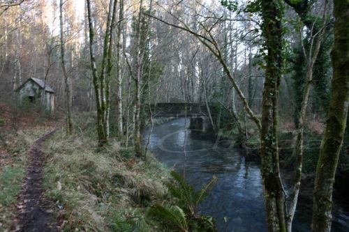 Fotografia de xose cheda - Galeria Fotografica: Cedeira - Foto: Ruta polo Rio Belelle