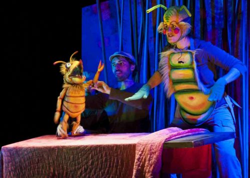 Fotografia de Framugal - Galeria Fotografica: Teatro - Foto: 