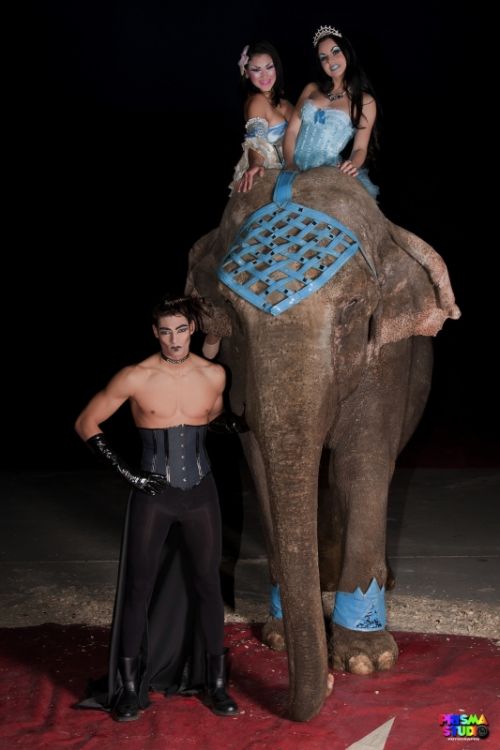 Fotografia de Carmen Jane - Galeria Fotografica: Editorial Circus Circus - Foto: 