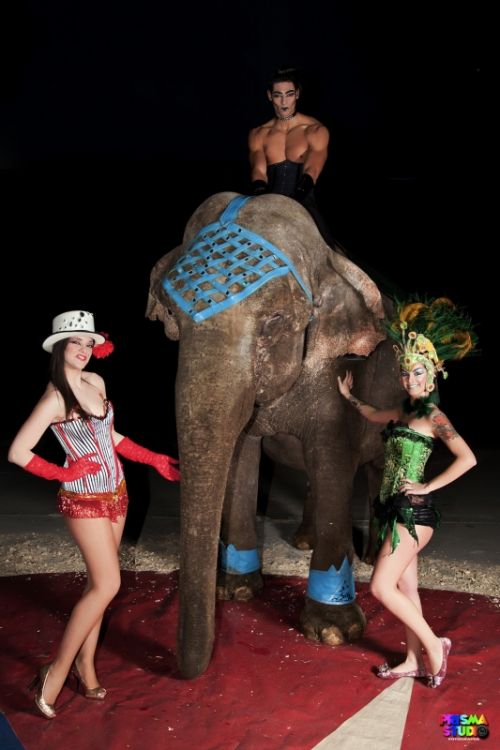 Fotografia de Carmen Jane - Galeria Fotografica: Editorial Circus Circus - Foto: 