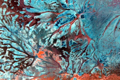 Fotografia de wilsotte - Galeria Fotografica: DIapos - Foto: 